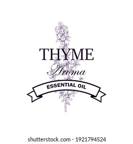 Logo de aceite esencial de tomillo con elementos dibujados a mano. Ilustración vectorial en el estilo de esbozo aislado en fondo blanco