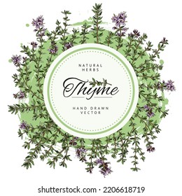 Thyme food spices badge or label design with circle blank frame and plants, hand drawn sketch vector illustration on white background. Thyme card or banner.