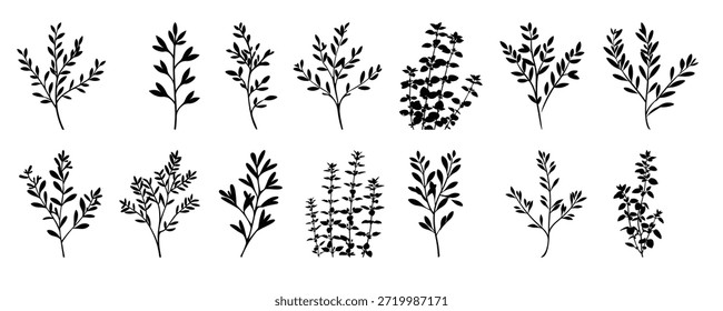 time herb silhueta clipart bundle