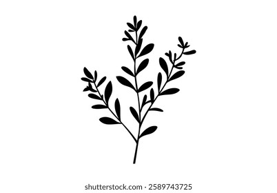 Thyme herb Silhouette Vector, Herb Black Clipart