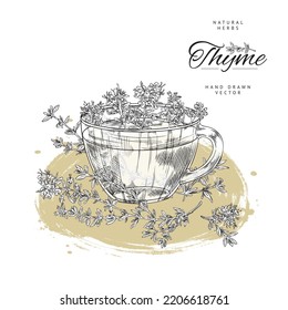 Thyme Herbal Tea Poster Template, Hand Drawn Sketch Vector Illustration On White Background. Vintage Cup Or Mug With Hot Beverage And Fresh Thyme Inside.