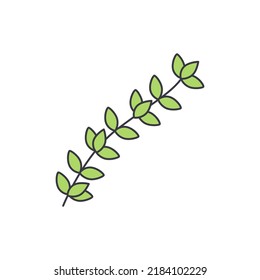 Thyme icon in color, isolated on white background 