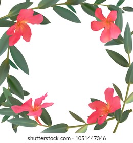 Thyme leaf green frame Vector isolated set of leaves and flowers for the design of bouquets and cards Branch of plants 