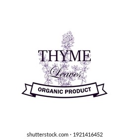 Thyme leaves logo with hand drawn elements. Vector illustration in sketch style isolated on white background