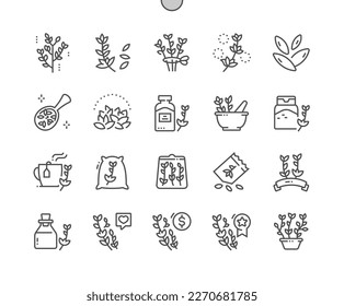 Thyme. Nature ingredient, spice. Cooking, recipes and price. Food shop, supermarket. Thyme oil. Pixel Perfect Vector Thin Line Icons. Simple Minimal Pictogram