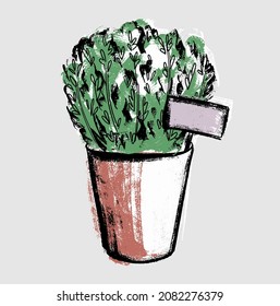 Thyme plant in a flower pot. Illustration in the style of a careless sketch by hand with a brush.