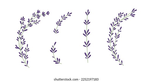 Thyme plant Hand drawn illustration  for simple rustic design.	