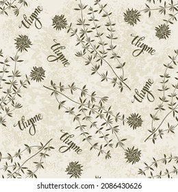 Thyme. Seamless pattern with spicy herbs, lettering on textured background. Monochrome vector illustration. Perfect for design templates, wallpaper, wrapping, fabric and textile.