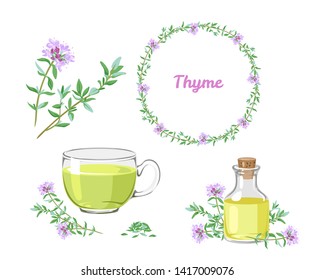 Thyme set. Sprigs of medicinal herbs, fragrant essential oil, thyme tea, floral herbal wreath. Vector illustration in cartoon flat style.