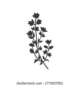 Thyme silhouette icon. Culinary herbs and spice. Monochrome condiment vector illustration.