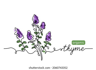 Thyme Simple Vector Sketch Drawing. One Continuous Line Art Drawing Illustration For Label Design With Lettering Thyme.