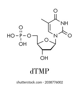 Molécula de nucleótido de monofosfato de timidina (TMP, timilato). Bloque de construcción de ADN. Fórmula esquelética.