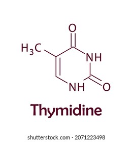Thymidine Nitrogenous base, nucleotide biomolecule strcuture on white background