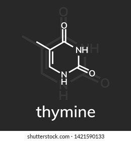 Thymine chemical formula on dark background