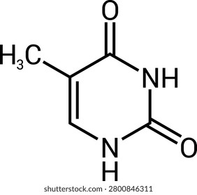 Thymine Chemical Structure Pyrimidine Nucleobase Molecule Diagram