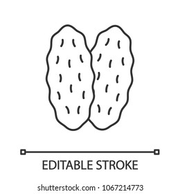 Thymus gland linear icon. Primary hematopoietic organ. Thin line illustration. Contour symbol. Vector isolated outline drawing. Editable stroke