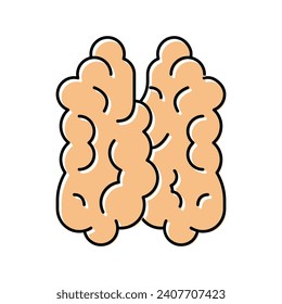 thymus of immune system color icon vector. thymus of immune system sign. isolated symbol illustration