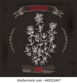 Thymus vulgaris aka Thyme vector hand drawn sketch placed on grunge black background. Culinary herbs collection. Great for cooking, medical, gardening design.