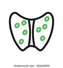 Thyroid
