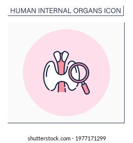 Thyroid Color Icon. Endocrine Glands In Neck Examination. Finding Problems. Human Internal Organs Concept.Isolated Vector Illustration