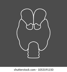 Thyroid. Endocrine gland. Illness of the endocrine system. Line icon