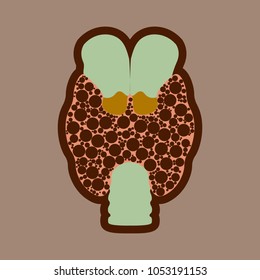 Thyroid. Endocrine Gland. Illness Of The Endocrine System. Thyroid Nodes, Autoimmune Thyroiditis, Diffuse Toxic Goiter