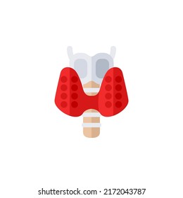 Thyroid Gland Abstract Flat Icon. Human Internal Organ Vector Illustration Isolated On White Background. Medical Diagram Endocrinology Poster, Endocrine System