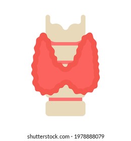 Thyroid gland and endocrine health care. Checkup endocrinologists medical research, diagnostics and examination hormones. Concept of thyroid disease, hypo- and hyperthyroidism, cancer. Vector
