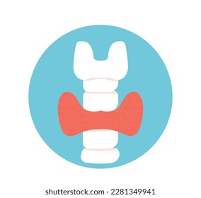 Thyroid gland, endocrinology system symbol, organ responsible for hormone production. Flat vector isolated illustration.