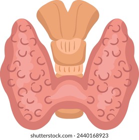 Thyroid gland. Internal human organ. Medical illustration