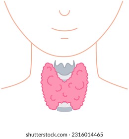 Icono de la glándula tiroidea. Silhouette de cuerpo sin rostro. Soporte de la función hormona tiroidea. Hipertiroidismo e hipotiroidismo. Control del metabolismo. Diagrama de anatomía corporal. Ilustración vectorial.
