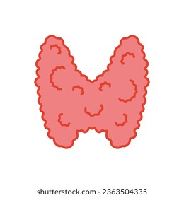 Thyroid gland lobes icon. Thyroid hormones function test. Endocrine system. Hyperthyroidism and hypothyroidism diseases. Overactive and underactive organ.  Isolated linear vector illustration.