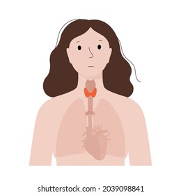 Thyroid gland, throat and trachea anatomical poster. Human endocrine system in female body. Medical exam of internal organs concept. Poster for clinic or education isolated flat vector illustration.