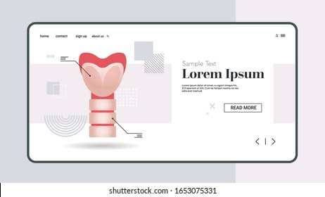 thyroid gland with trachea and larynx endocrinology system or hormone secretion human internal organ anatomy healthcare medical concept horizontal copy space vector illustration