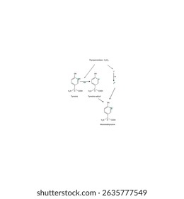 Biossíntese de hormônio tireoidiano: Iodinação de tirosina e formação de monoiodotirosina via tireoperoxidase