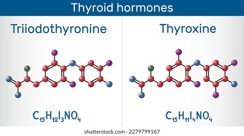 Thyroid hormones: Triiodothyronine (T3, levothyroxine) and Thyroxine (T4) molecule. Used to treat hypothyroidism. Molecule model. Vector illustration