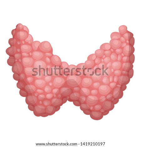 Thyroid. Human organ isolate on white background. Vector illustration.