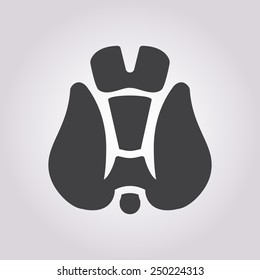 Thyroid Icon.