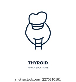 thyroid icon from human body parts collection. Thin linear thyroid, medical, biology outline icon isolated on white background. Line vector thyroid sign, symbol for web and mobile