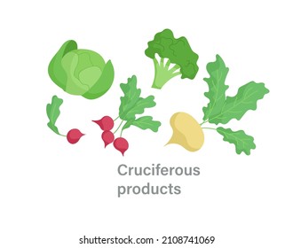 Thyroid nutrition infographic element. Bad foods for thyroid gland. Cruciferous products. Broccoli, radish, cabbage and lettuce. Cartoon flat vector illustration isolated on white background