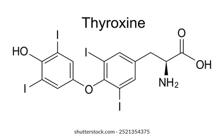 Fórmula química de tiroxina, molécula de hormônio tiroxina isolada sobre fundo branco