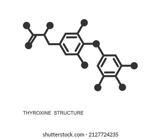 Thyroxine chemical molecular structure. Major endogenous hormone secreted by the thyroid gland isolated on white background. Vector graphic illustration.