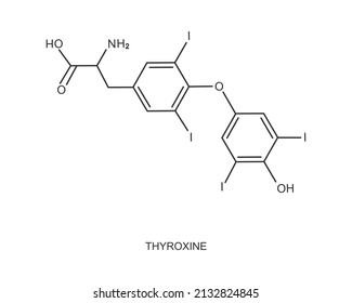 Thyroxine icon. Chemical molecular structure. Major endogenous hormone secreted by the thyroid gland isolated on white background. Vector outline illustration