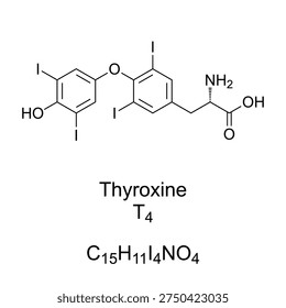 Thyroxine, T4, chemical formula and molecular structure. Hormone produced by the thyroid gland. Essential for metabolic rate, heart and muscle function, brain development, and bone health. Vector
