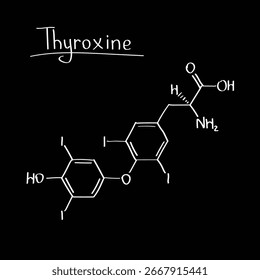 Thyroxine T4 Hormone Molecular Structure Endocrine System Chemistry Diagram for Medical Education, Textbooks and Healthcare Research