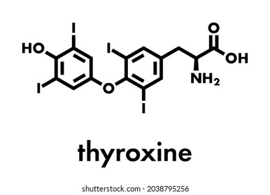 Thyroxine (T4, levothyroxine) thyroid hormone molecule. Prohormone of thyronine (T3). Used as drug to treat hypothyroidism. Skeletal formula.