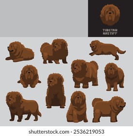 Tibetan Mastiff Dog Cartoon Vector Illustration Color Variation Set