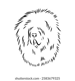 Tibetan Mastiff dog hand drawn sketch. Rare purebred dog illustration.