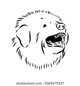 Tibetan Mastiff dog hand drawn sketch. Rare purebred dog illustration.