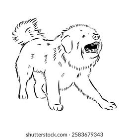 Tibetan Mastiff dog hand drawn sketch. Rare purebred dog illustration.